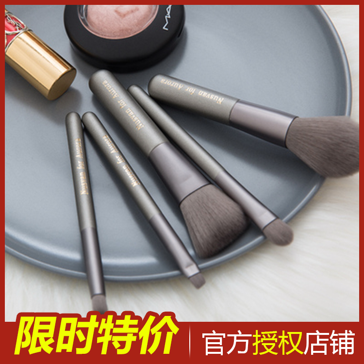 Japanese Nusvan Makeup Brush Powder High Light Repair Portable Mini Animal Hair Super Soft 5 Sets Brush