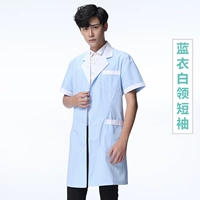 Синие белые работники (короткие люди)