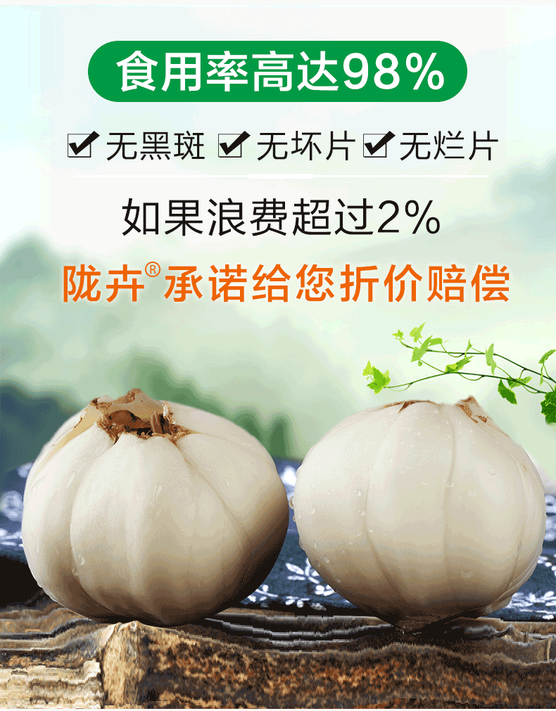 陇卉 六年生 兰州新鲜百合 天然无添加 2斤真空包装 图7
