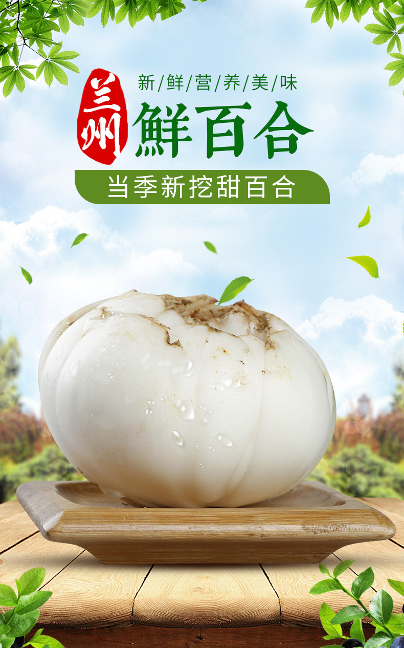 兰州特产 陇卉鲜百合 500g*2袋 真空装 淘抢购双重优惠折后¥30.8包邮 兰州特产 陇卉鲜百合 500g*2袋 真空装 淘抢购双重优惠折后¥30.8包邮