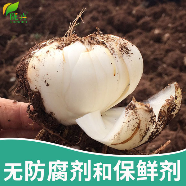 兰州特产 陇卉 出口级 6年生 鲜甜百合 500g 下单减+天猫优惠券折后¥26.8包邮(¥39.8-10-3) 兰州特产 陇卉 出口级 6年生 鲜甜百合 500g 下单减+天猫优惠券折后¥26.8包邮(¥39.8-10-3)