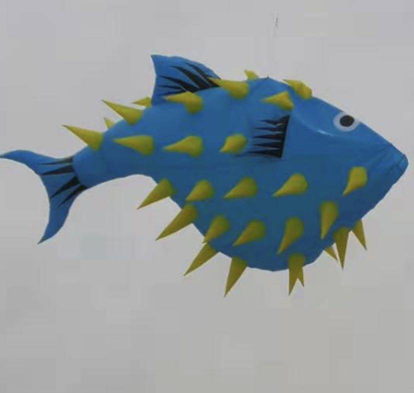 2020 new pendants river dolphin large software without skeleton micro wind easy to fly kites