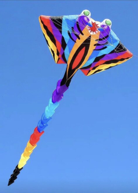 Large software kite adult Microwind easy to fly without skeleton solid Purse Kite Kite