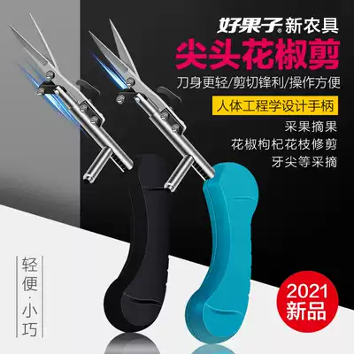 Pointy picking, sprouting, cutting, cutting, cutting, cutting, cutting, fruit, fruit, pepper, special good fruit, Pepper pruning shears