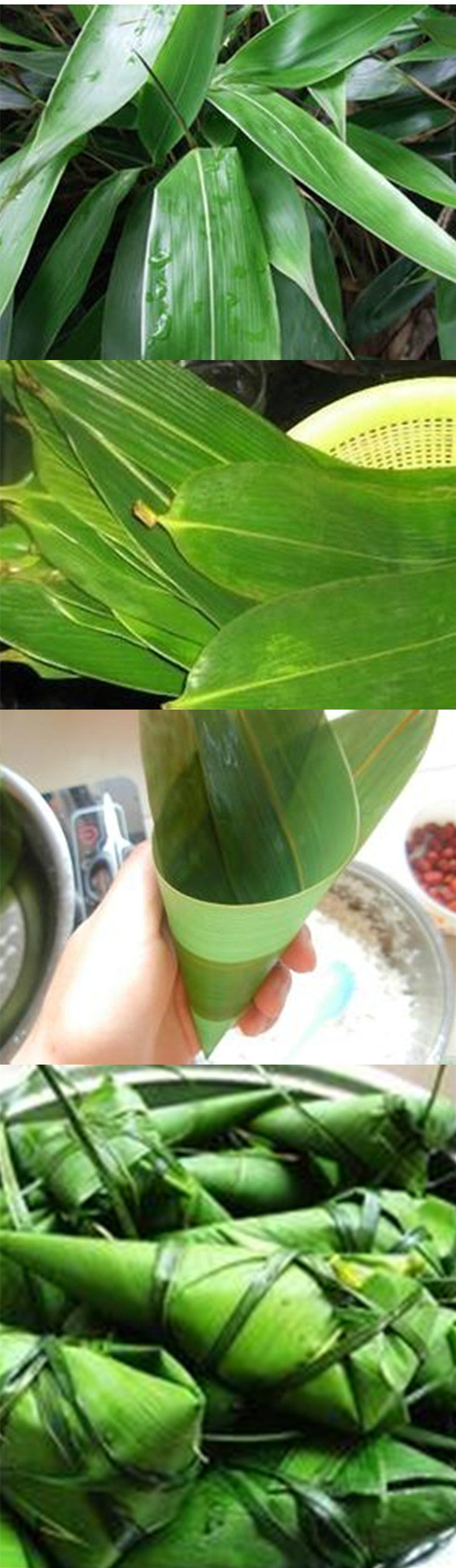 箬竹叶包粽子,包粽子的叶子,竹叶包粽子_大山谷图库