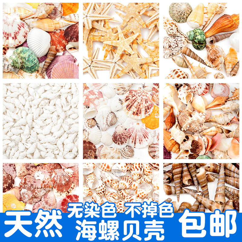 Natural Shells Sea Snail Sea Star Children Handmade Diy Material Bags Fish Tank Building Decoration Pendulum wind Sul Drift bottle-Taobao