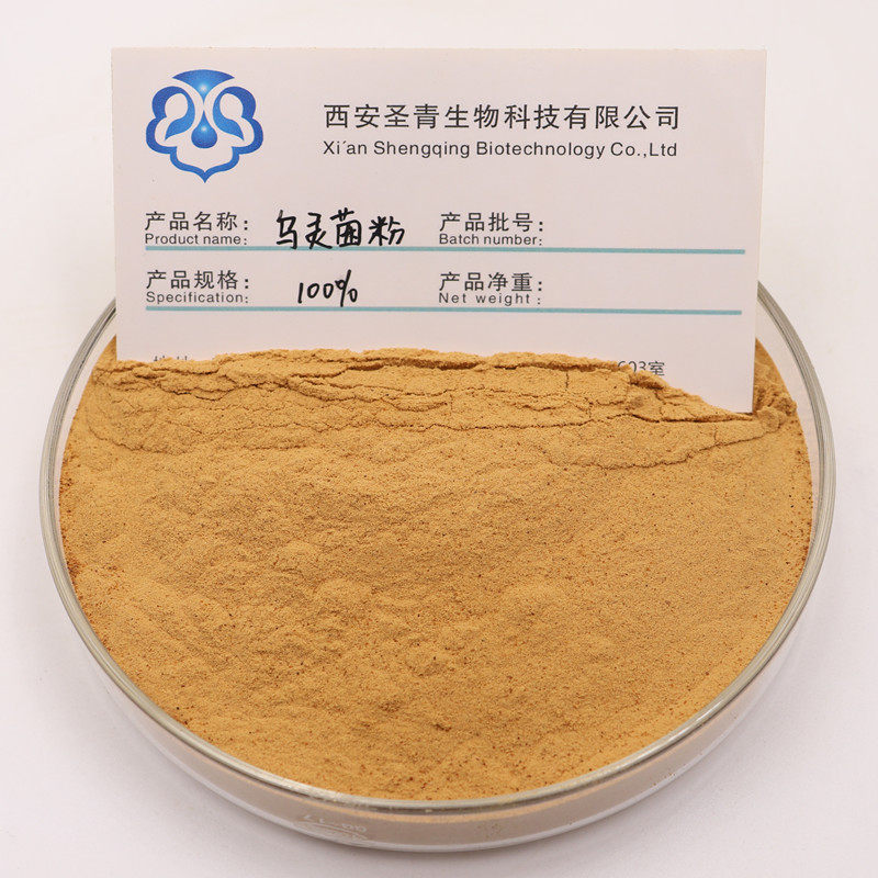 Wuling fungus powder wild Wuling ginseng powder 100g raw material powder Wuling ginseng fungus gift spoon