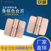 Toilet partition fittings 304 stainless steel self-closing partition door hinge toilet door hinge