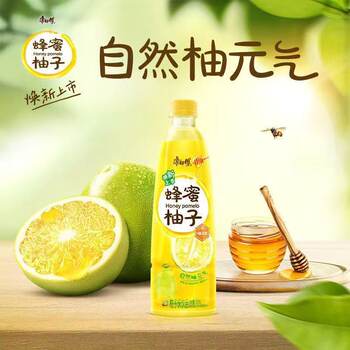 Master Kong Honey Grapefruit Whole Box Wholesale Large Bottle 500ml*15 Bottles Whole Box Free Shipping Refreshing and Sweet