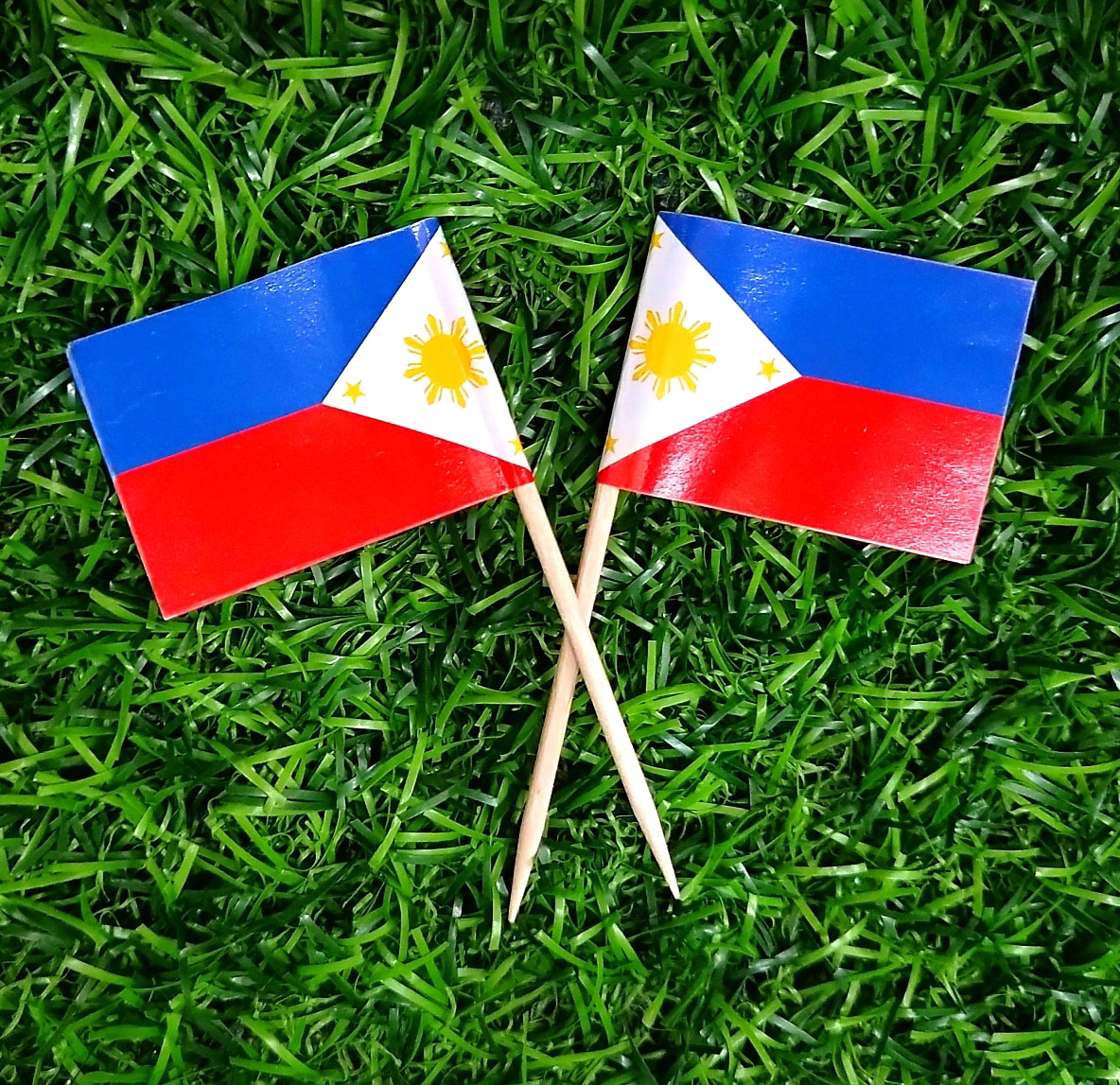 Indonesia Singapore Malaysia Philippines Thailand's Vietnam toothpick full of national flags 