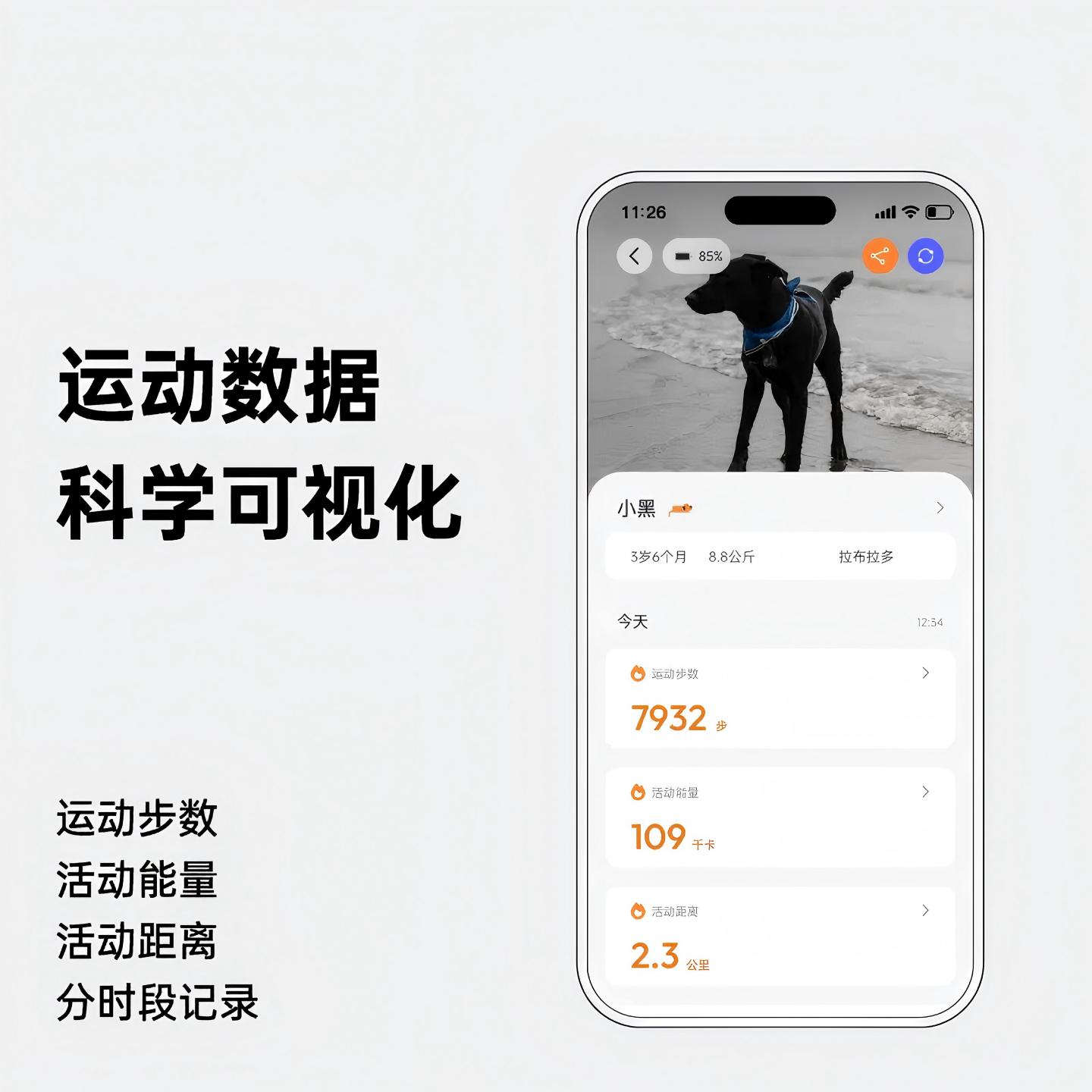 宠物安全护航:智能定位背后的科技之力