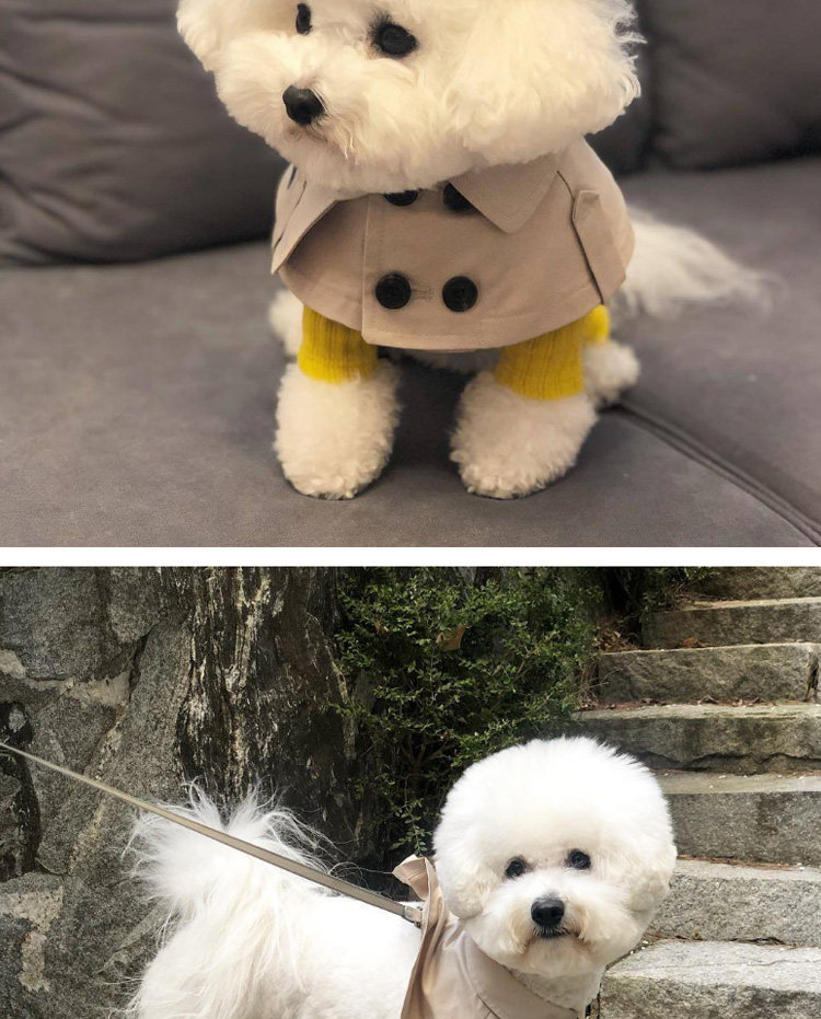 товар из китая 泰迪比熊柯基法斗英伦风绑带卖萌口水巾狗狗围脖 狗狗风衣斗篷 Other