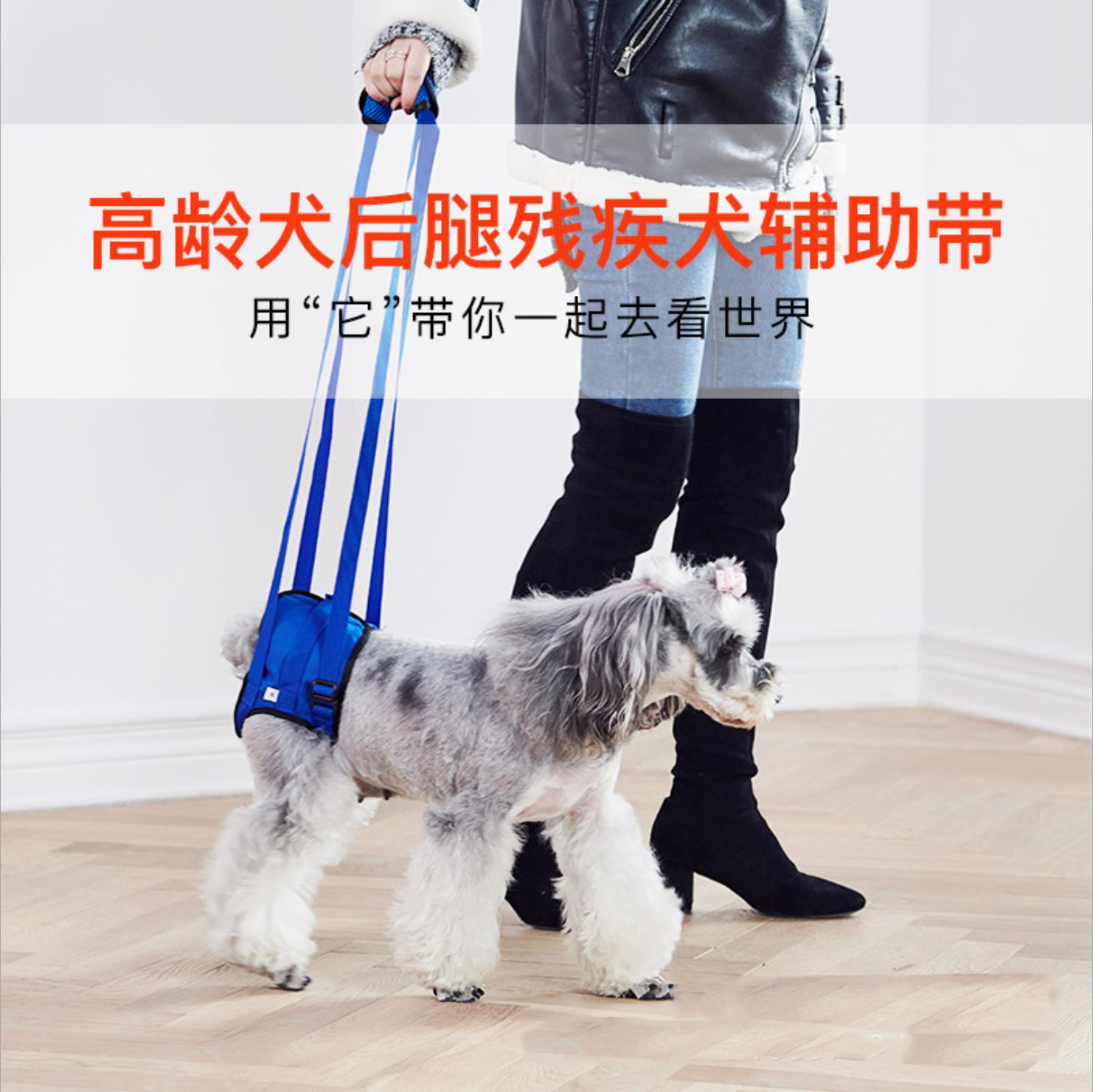 Pet Assisted Seatbelt Traction Rear Leg Inability Muscle Atrophy Old Age Dogs Physical And Mental Impairment Dog Walking Moped