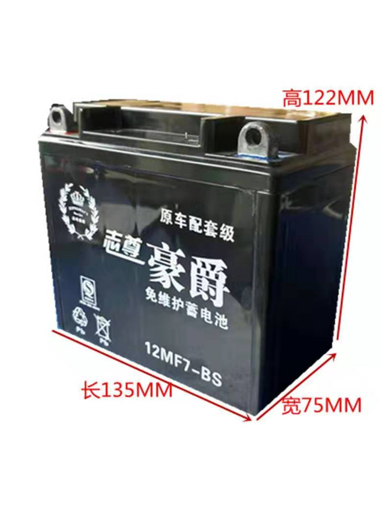 Used 12N7-4B Diamond Leopard 125 original locomotive maintenance-free straddle Suzuki 150 universal