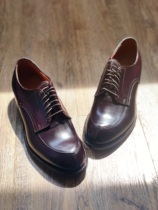 (Spot second hair)Alden V-tipM last 54321 Japan limited 8 color horse hip shoes