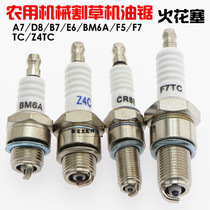 Motorcycle spark plug B7TC E6TC F7TC F5TC CR8E er chong motorcycle scintilla shi