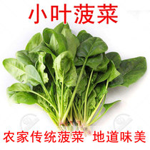 Leaflet spinach seeds seeds Autumn and winter rapeseed seeds Balcony four seasons potted vegetables Vegetables wave vegetables seed seeds