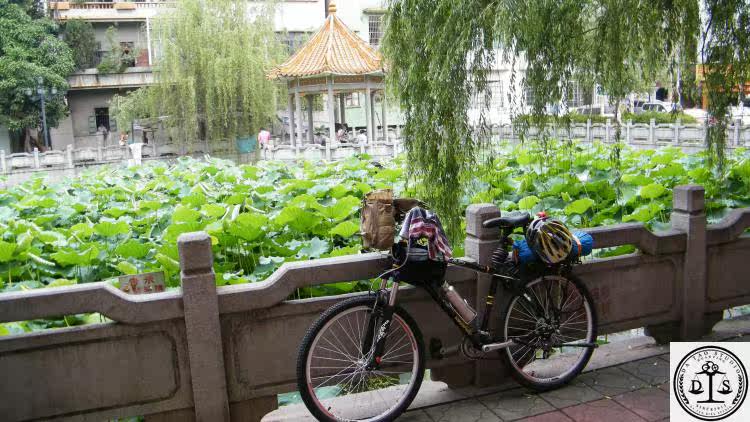 Porte-bagages pour vélo - Ref 2414922 Image 11