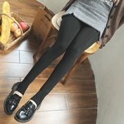 SK8281 cotton áp lực là nhung mỏng và nhung ấm chống tĩnh điện một lớp một chiếc quần legging co giãn cao thoải mái