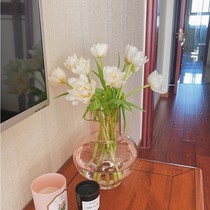 Mandison frosted pink transparent glass vase pendulum with flower arrangement Nordic creative minimalist water raising flower