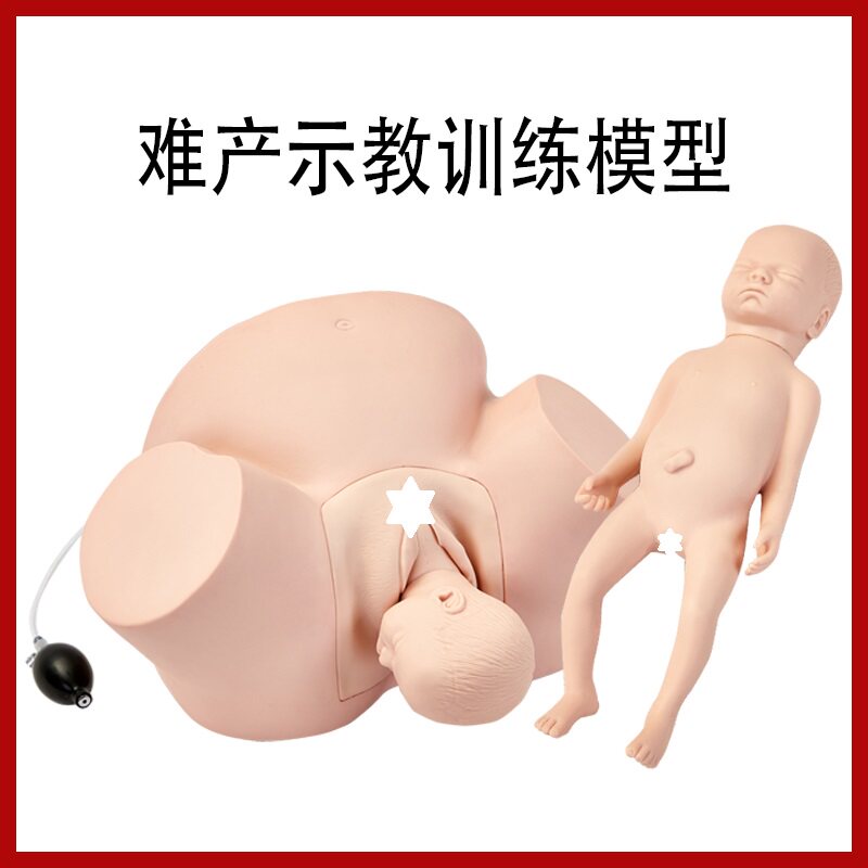 高级难产示教模型 分娩难产模型 难产助科示教模型