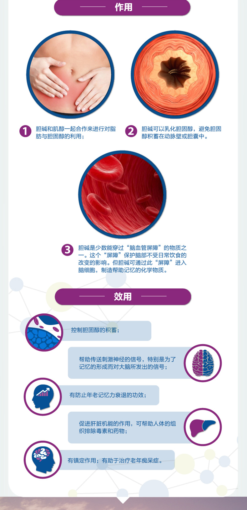 [Trực tiếp] Đức Ao Shibao Night Essentials Sản phẩm dinh dưỡng Viên nén gan Sữa Thistle gan Detox Sản phẩm sức khỏe - Thức ăn bổ sung dinh dưỡng viên dầu cá omega 3