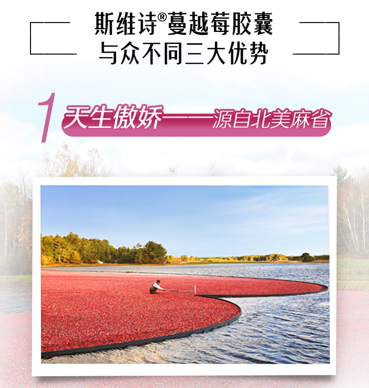澳洲 Swisse 高强度蔓越莓胶囊 30粒 图3