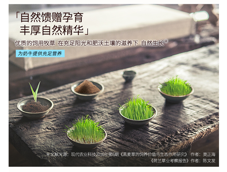 荷兰进口 雀巢 NIDO 高钙高蛋白奶粉 900g 图7