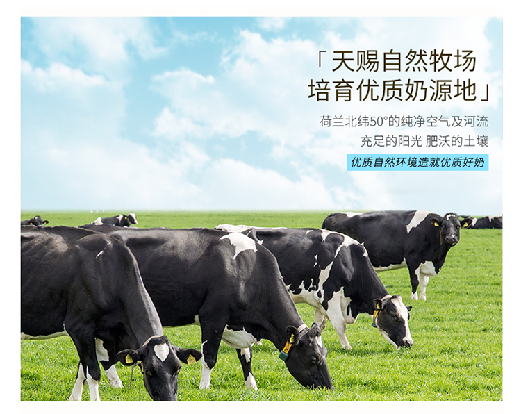 荷兰进口 雀巢 NIDO 高钙高蛋白奶粉 900g 图6