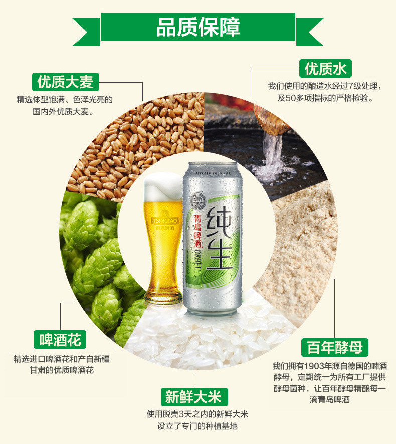 天猫超市 青岛啤酒 纯生啤酒 500ml/听 口感柔和爽口 图3