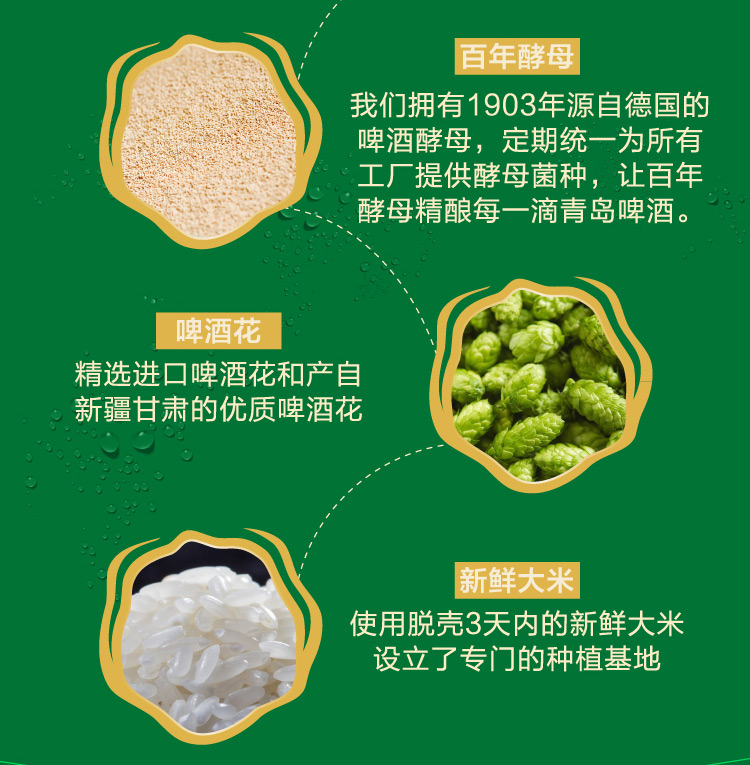 慕尼黑博览会金奖 青岛啤酒 经典1903 330ml*24听 图3