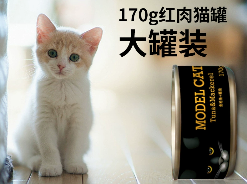 Mèo Mai Fudi đóng hộp 170g12 lon mèo làm đẹp mèo ngắn mèo đóng hộp thức ăn ướt mèo mèo ăn nhẹ mèo vào vật nuôi mèo - Đồ ăn nhẹ cho mèo royal canin giá rẻ