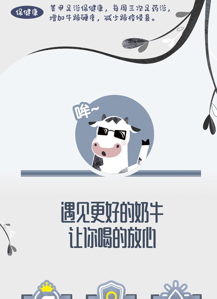 安享好物 安享B级纯奶-君乐宝遇见奶牛纯牛奶 国标 
