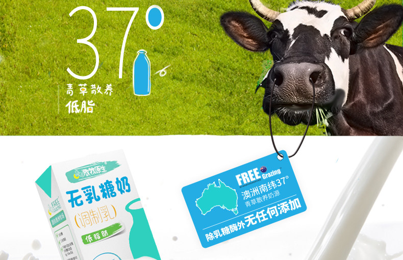 我们买过 澳大利亚 放牧原生 无乳糖低脂牛奶 1L*6盒*2件 图11
