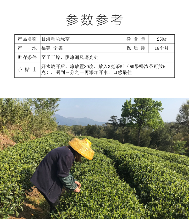 目海绿茶2022年新茶春茶毛尖250g*1盒