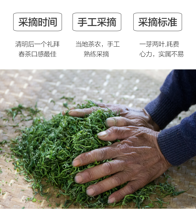 目海绿茶2022年新茶春茶毛尖250g*1盒