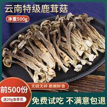 Pilose antler mushroom dried goods special grade pilose antler mushroom dried goods 500g Yunnan specialty fresh pilose antler mushroom suitable for soup