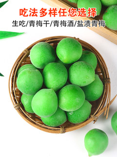 2026 fresh green plums and fresh fruits from zhao'an, fujian, freshly picked fresh fruits from the mountains, raw sour plums, fruit soaked in wine in bulk 5 jin jin is equal to 0.5 kg