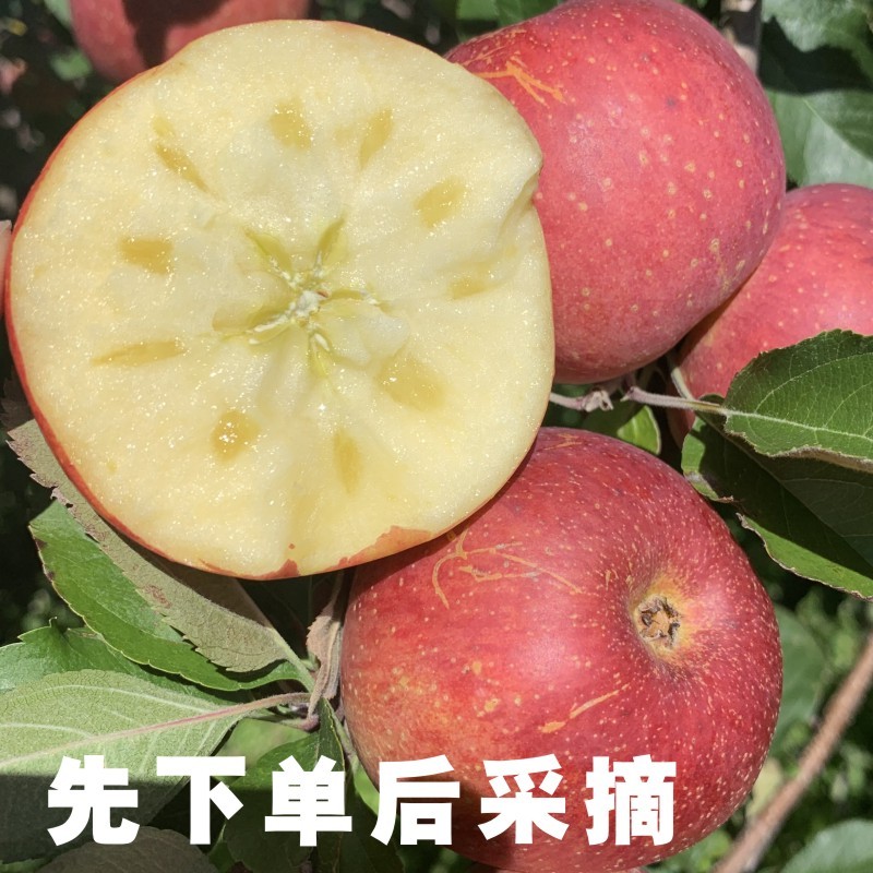 Spot Yunnan Ugly Apple Rock Candy Heart Apple Crisp Sweet Zhaotong Seasonal Fresh Fruit Red Fuji 10 catties