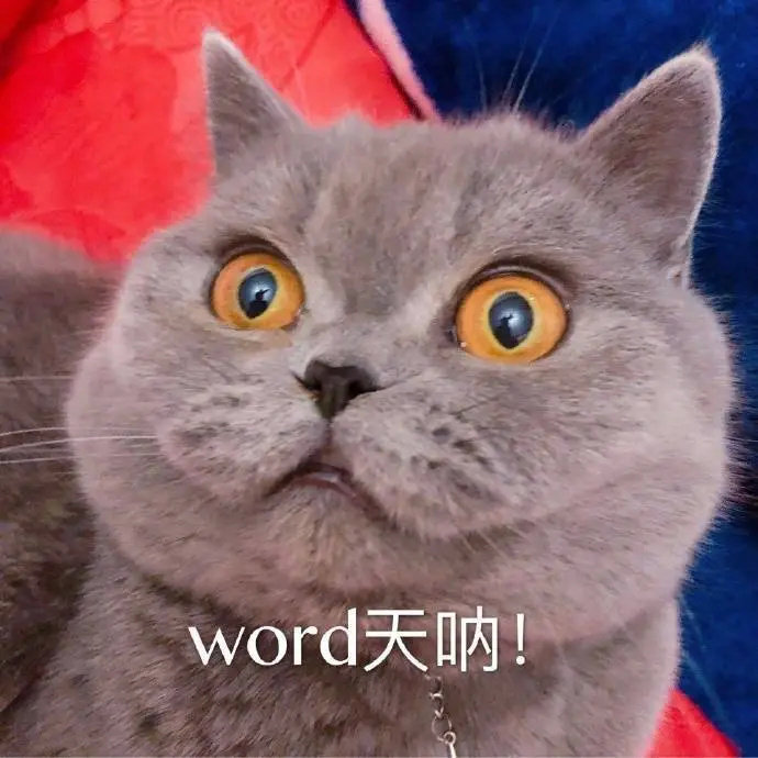 哇哦一个好店