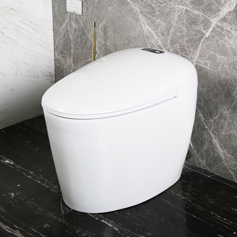 Farnsa FB 16163 can heat up the combined smart toilet