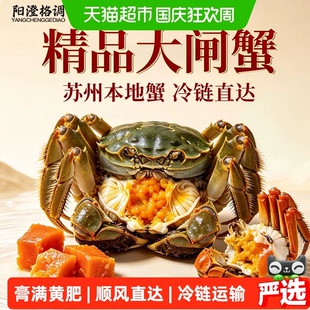 【活蟹】阳澄格调全母大闸蟹6只礼盒