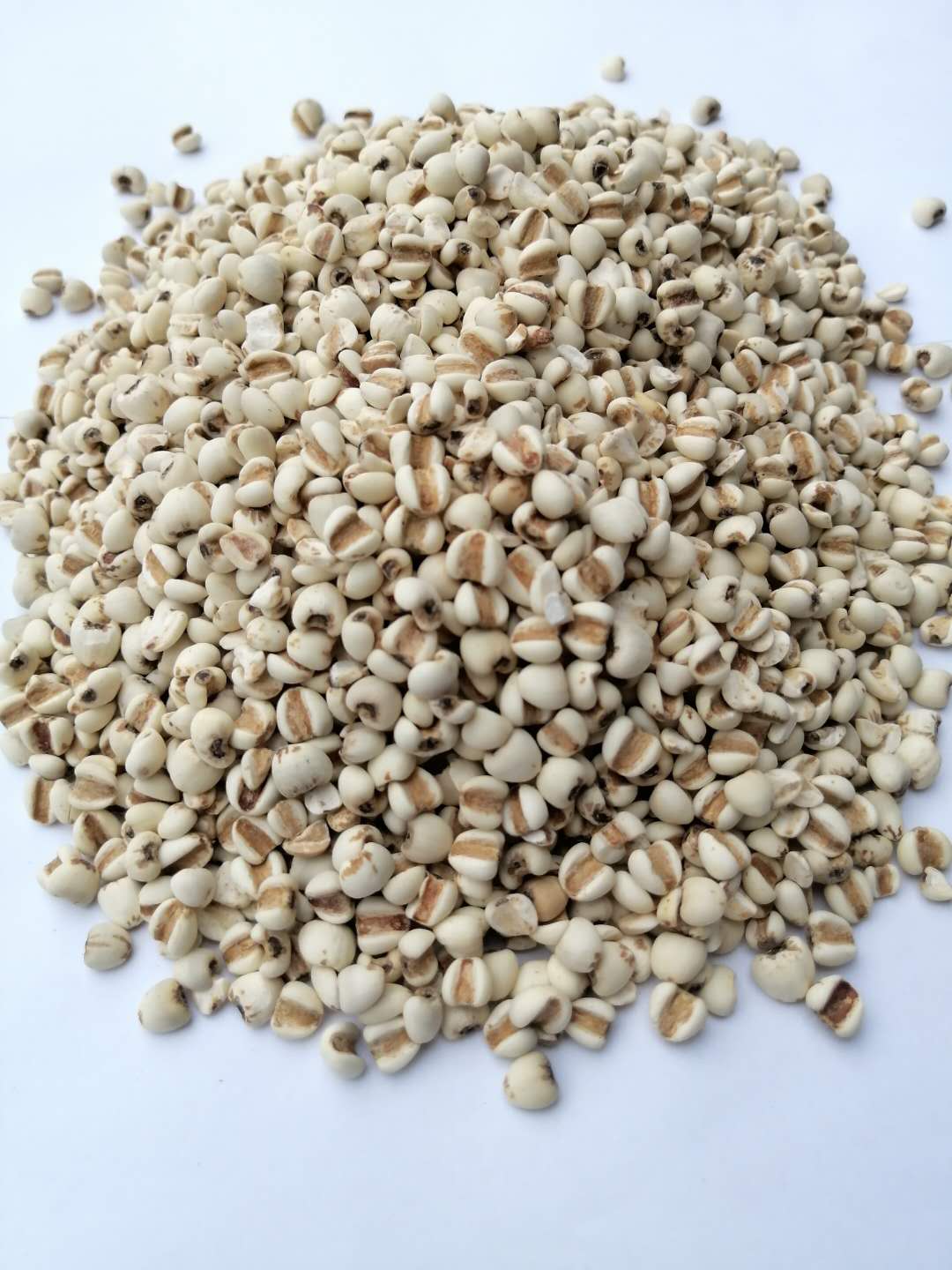 5 pounds of cooked barley Cooked barley Whole grains Freshly ground whole grains soymilk raw materials Ground raw materials