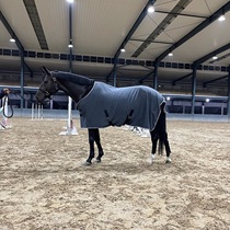 Salle de pansement pour chevaux en daim de céréales Neymar thés équestres équestres équestres équitation équitation de cheval kannarrima