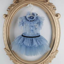 Haze blue ponytail Pet clothes Summer thin models can be thick summer clothes Lace princess skirt Teddy bear