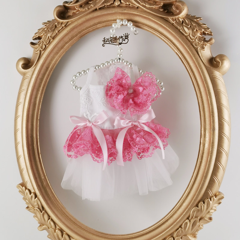 Watermelon red lace high waist pet dress cat dog clothes dog skirt pet skirt