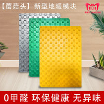 Non-remblai Mushroom Head Ground Warm Water Heating Insulation Board High Density Seamless Splicing Energy Saving and Environmental Protection Ultra-thin Water Geothermal Module