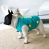 Pet dog mùa xuân quần áo pháp luật Keji Bago Teddy quần áo chó nhỏ và vừa quần áo mùa xuân và mùa hè vest - Quần áo & phụ kiện thú cưng