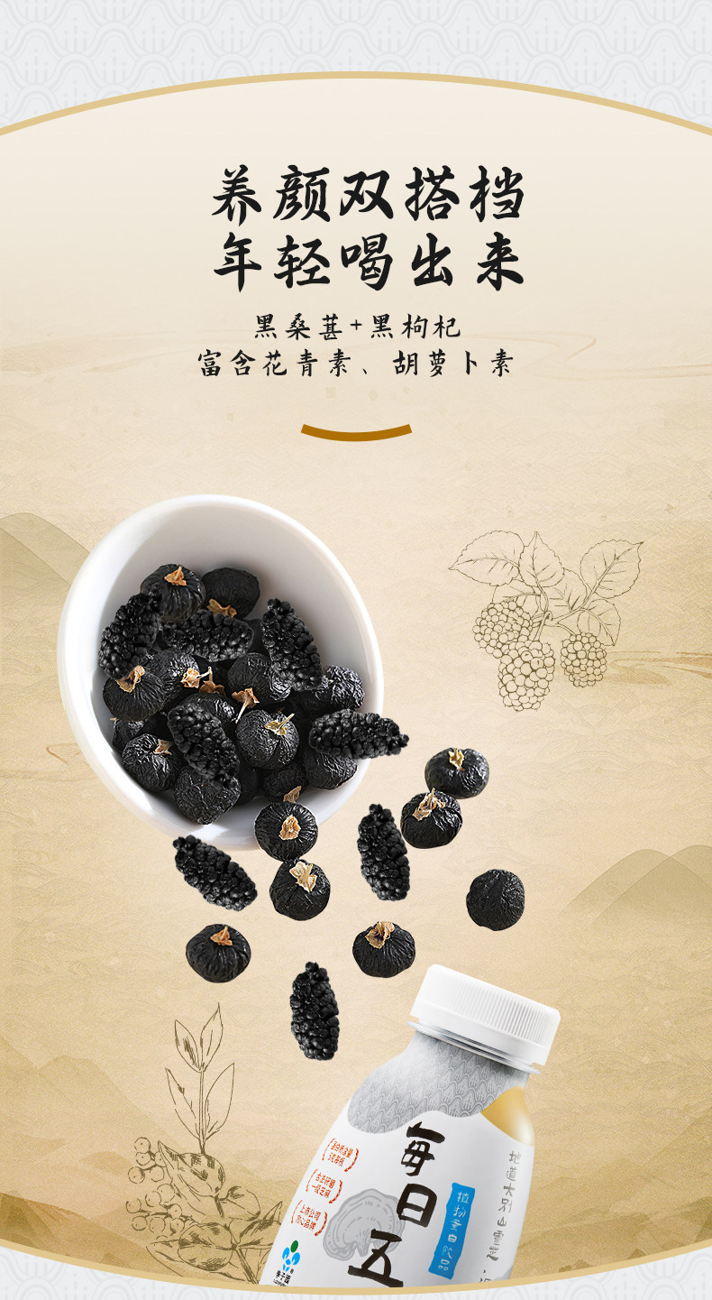 安享好物 安享C级含乳饮料-李子园五黑 植物蛋白饮 行标 