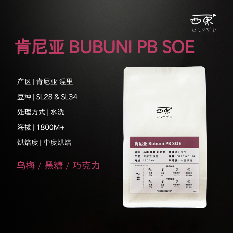 Kenya Nieri Soe Washed Sl28 Italian Espresso Medium Roasted Coffee Beans American Black Coffee 250g